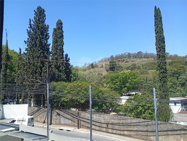 Foto REO1137278