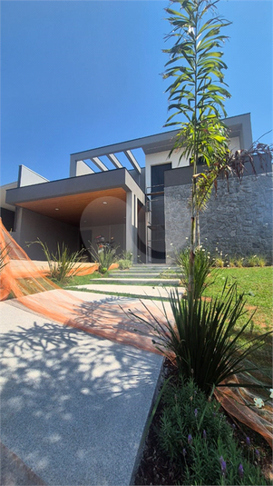 Foto REO1137286