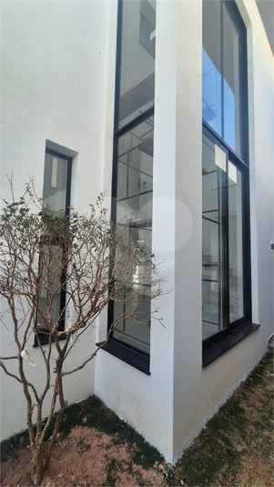 Foto REO1137286