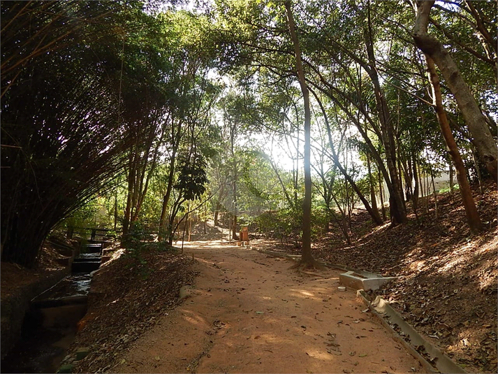 Foto REO1137286