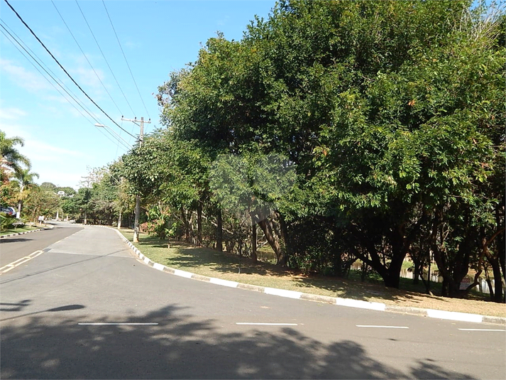 Foto REO1137286