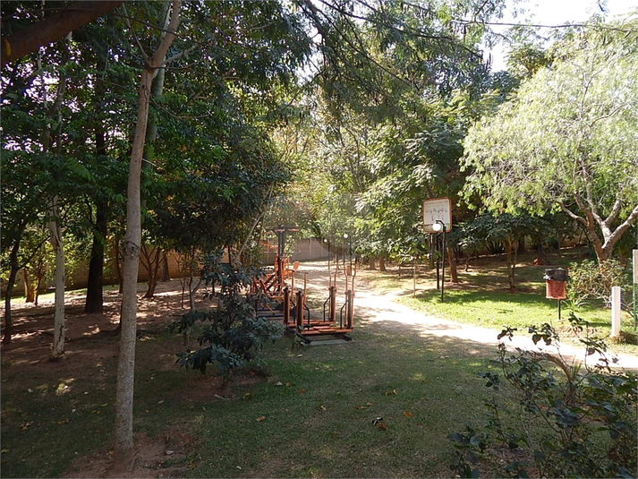 Foto REO1137286