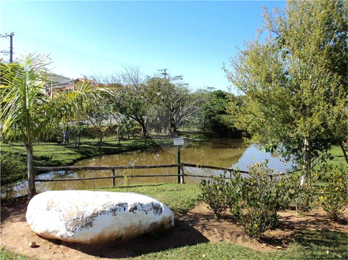 Foto REO1137286