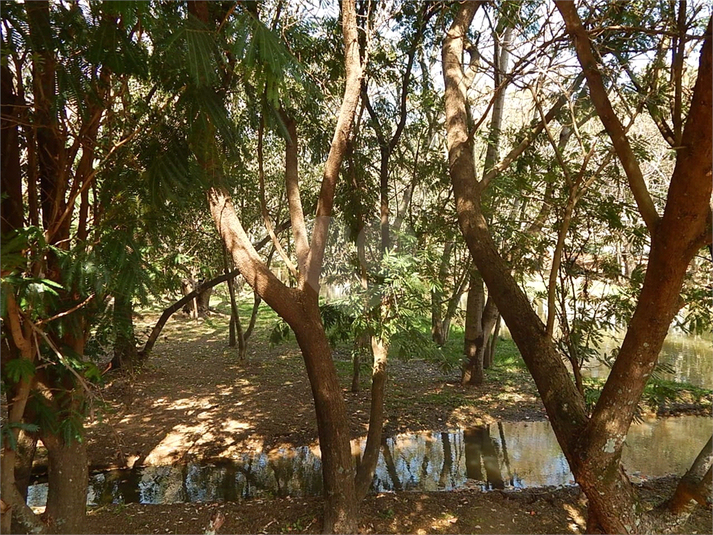 Foto REO1137286
