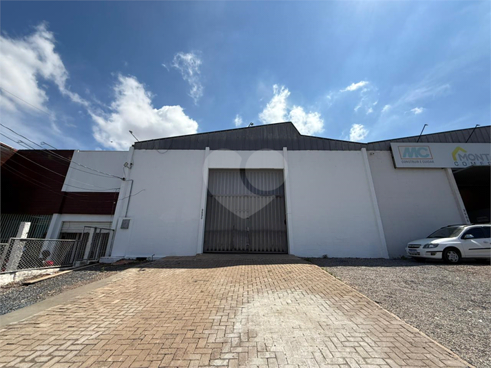 Foto REO1137291