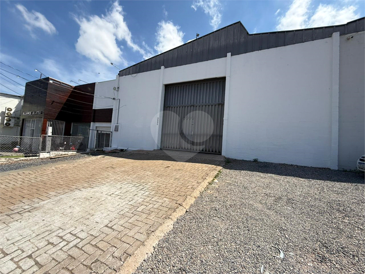 Foto REO1137291