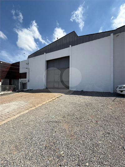 Foto REO1137291