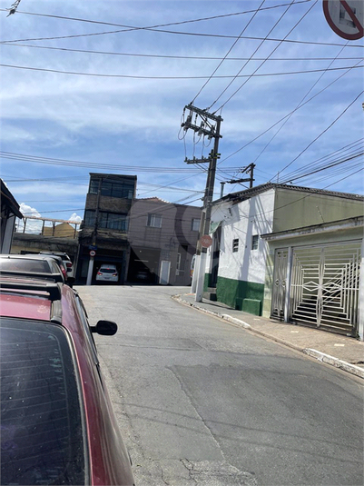 Foto REO1137303