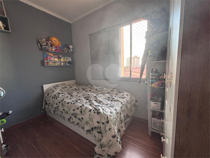 Foto REO1137379