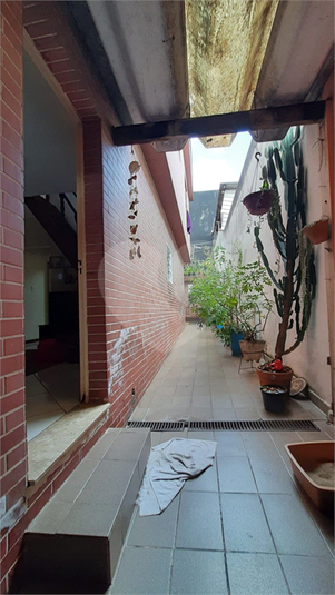 Foto REO1137420