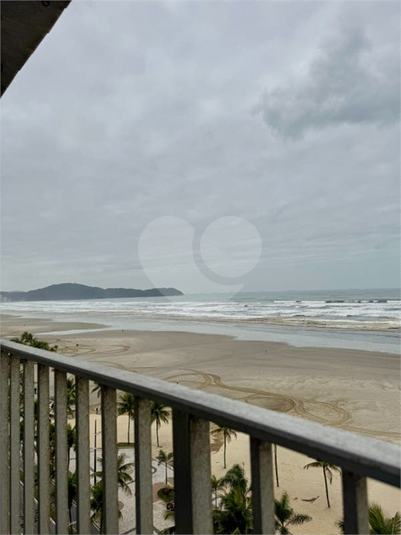 Foto REO1137571