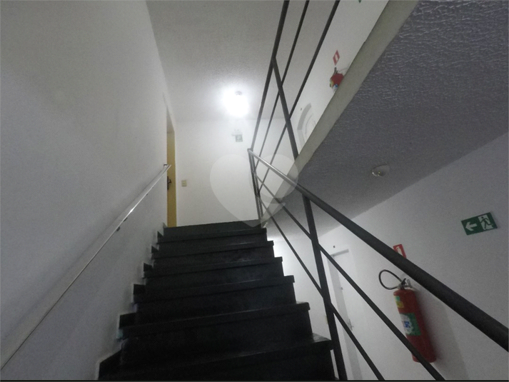 Foto REO1137612