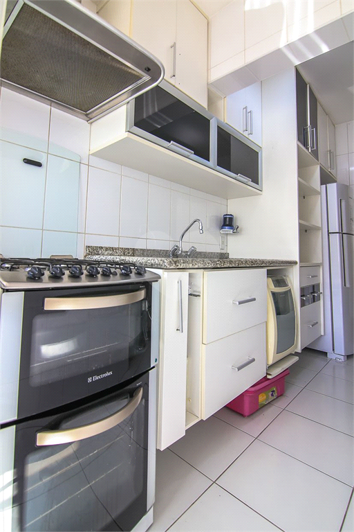 Aluguel Apartamento São Paulo Mooca REO113823 11