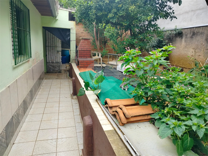Horta 