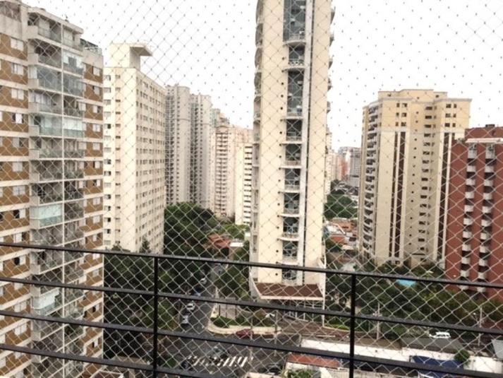 Foto REO114239