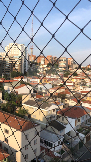 Foto REO114281