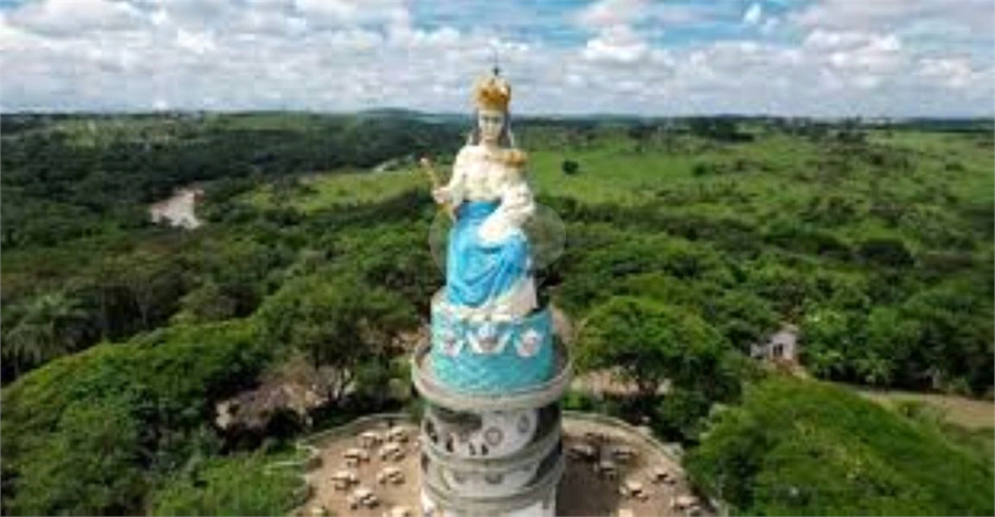 Foto REO1143306