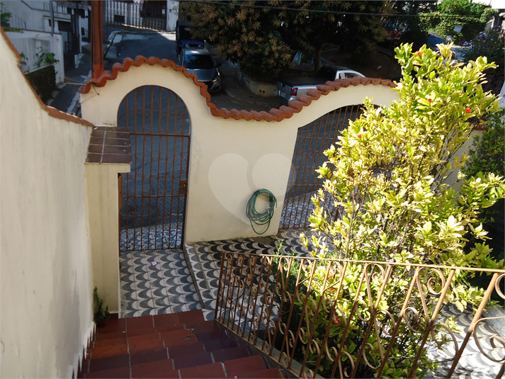 Foto REO114451