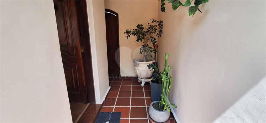 Foto REO114451
