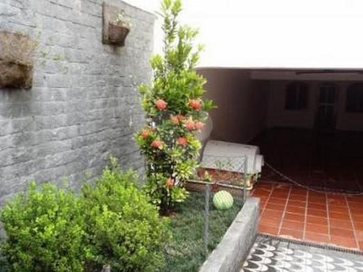 Foto REO114451