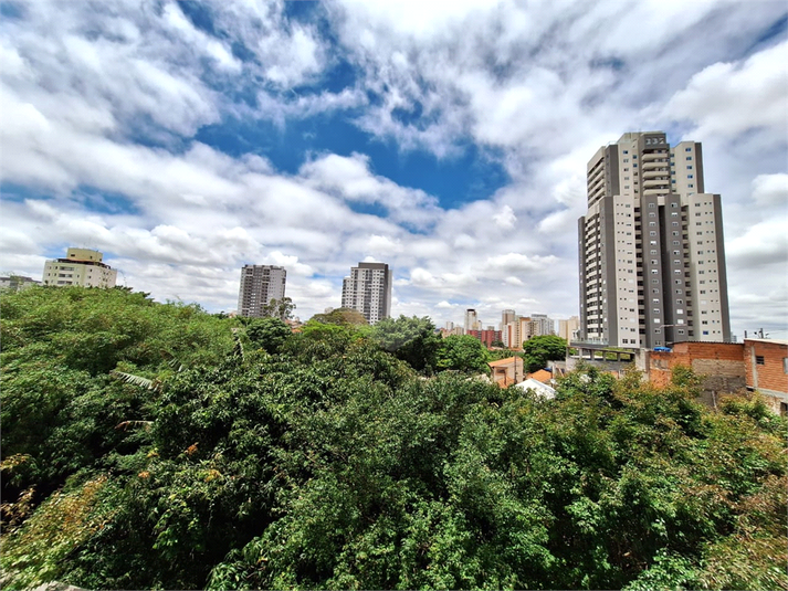 Foto REO1144565