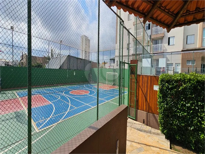 Foto REO1145489