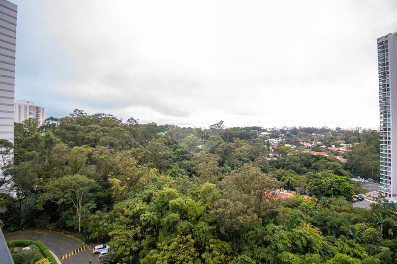 Foto REO114692