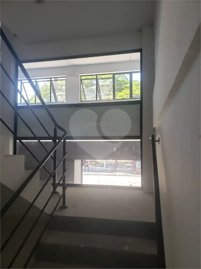 Foto REO1147859