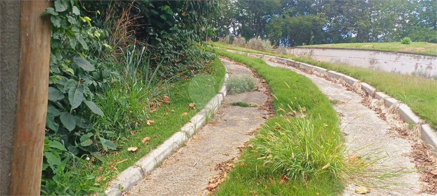 Foto REO1150278