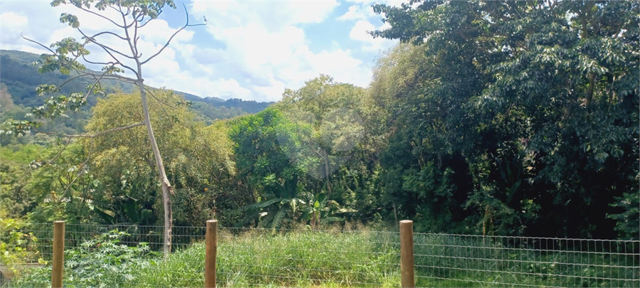 Foto REO1150278