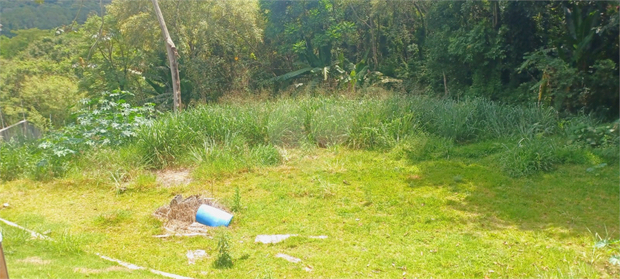 Foto REO1150278