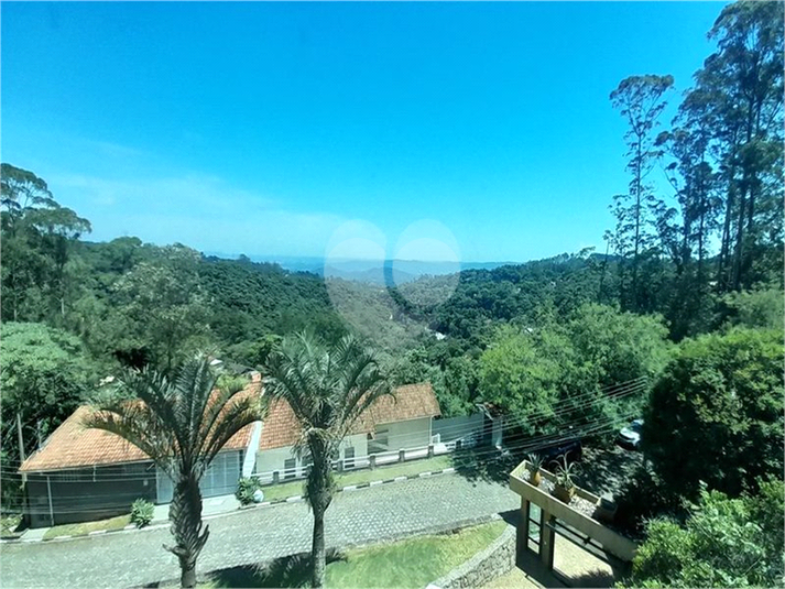 Foto REO1151266