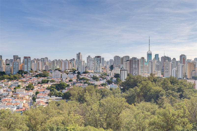 Foto REO115658