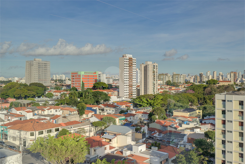 Foto REO115658