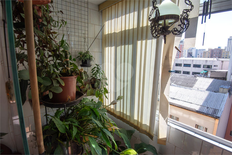 Foto REO1159429