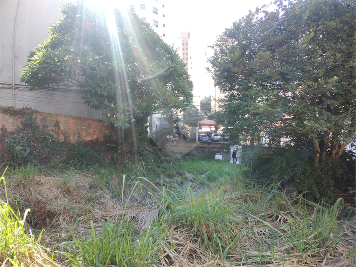 Foto REO1161789