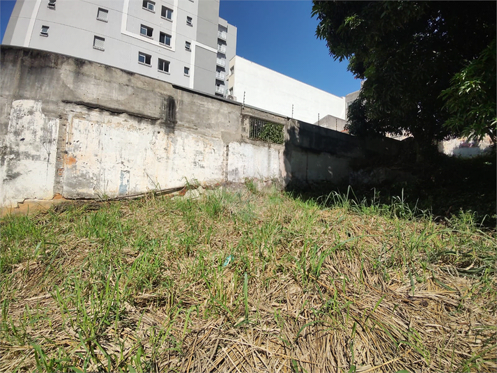 Foto REO1161789