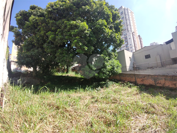 Foto REO1161789