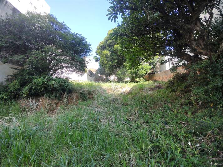 Foto REO1161789