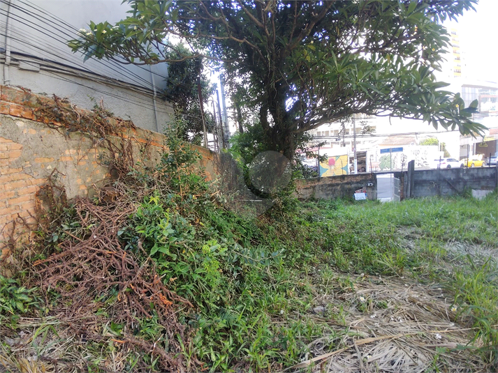 Foto REO1161789