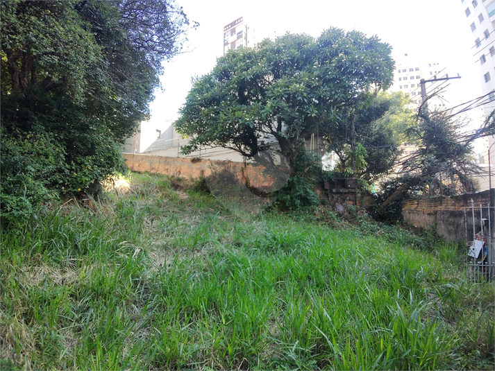 Foto REO1161789