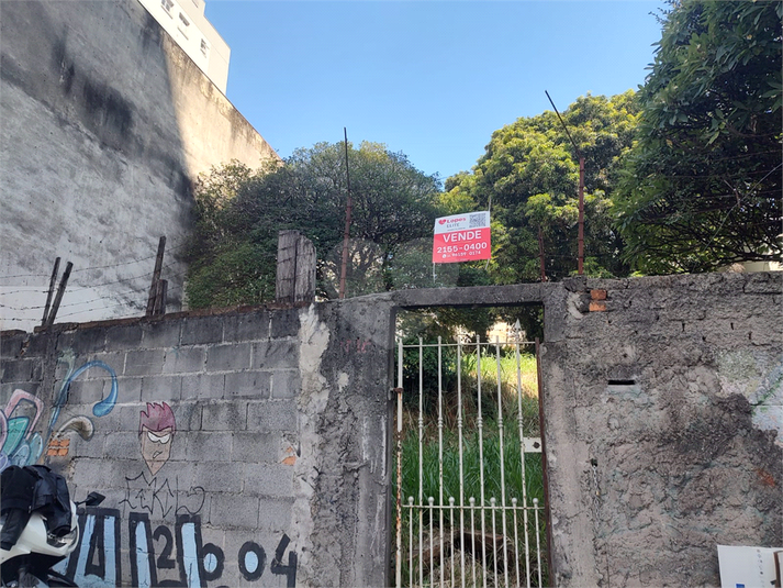Foto REO1161789