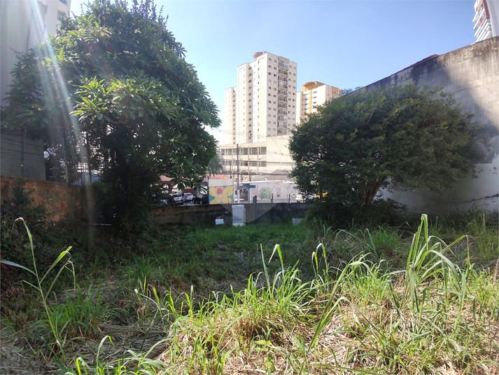 Foto REO1161789