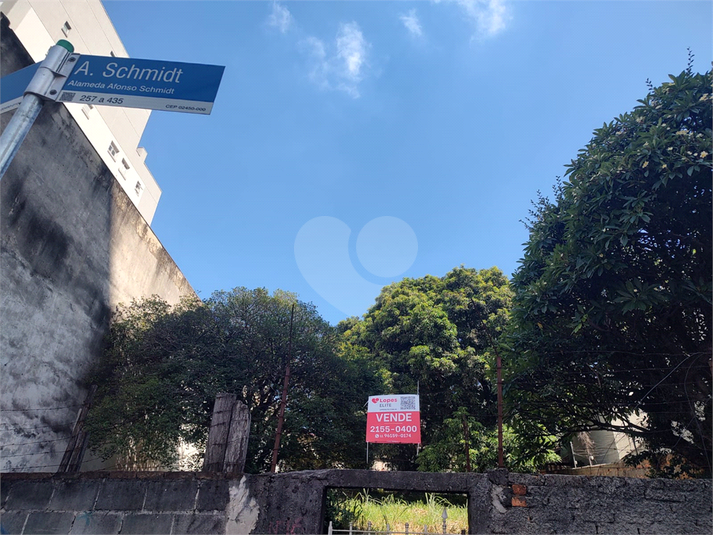 Foto REO1161789