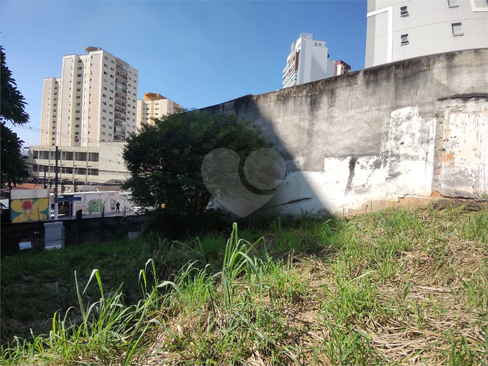 Foto REO1161789