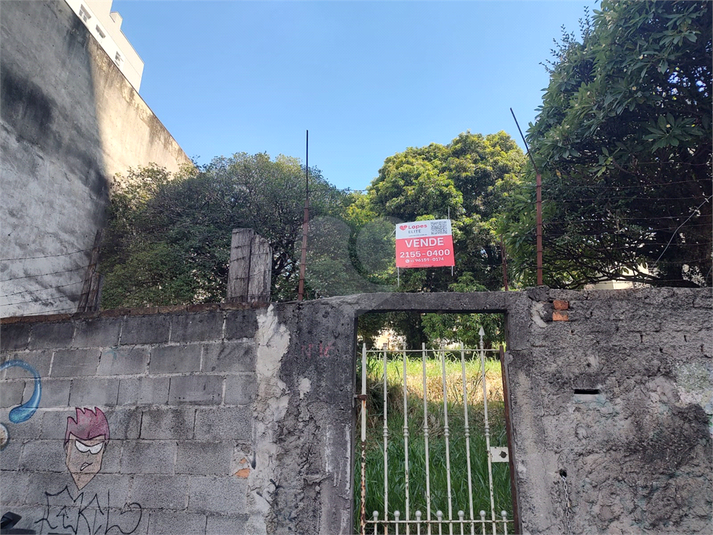 Foto REO1161789