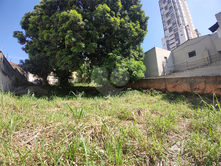Foto REO1161789