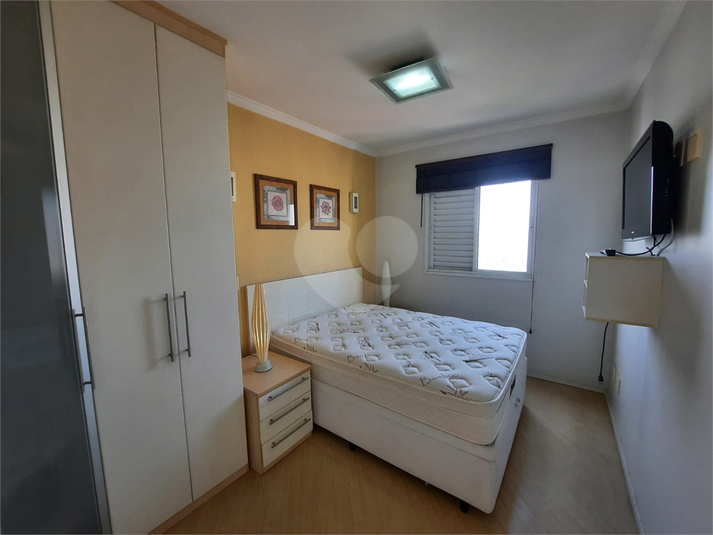 Aluguel Apartamento São Paulo Vila Leopoldina REO116203 11