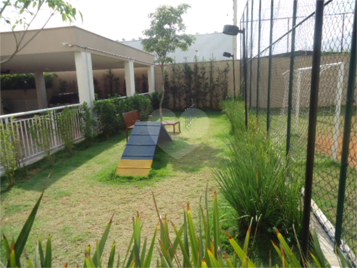 Foto REO1163233