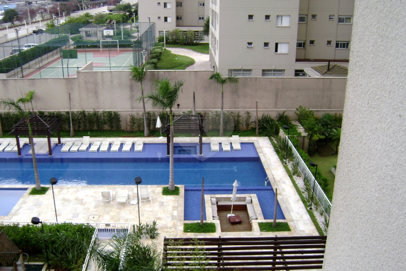 Foto REO1163233